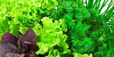 verdes para aumentar a potencia nos homes