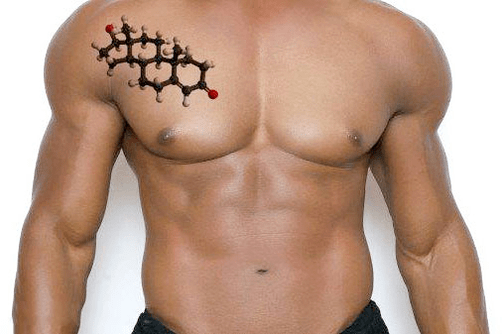 torso masculino guapo